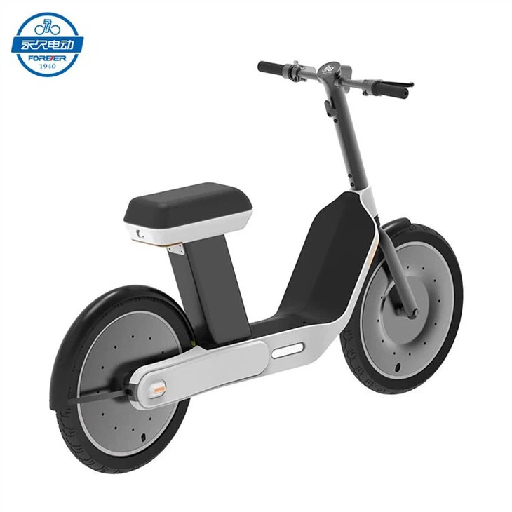 GLOOV-Adder-Super-Electric-Scooter-20-Inch-Large-Tires-1000W-Motor-25Km-h-Speed-48V-20Ah.jpg_Q90.jpg_-(1)